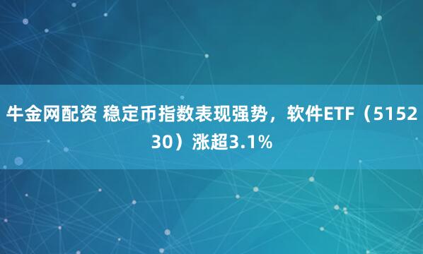 牛金网配资 稳定币指数表现强势，软件ETF（515230）涨超3.1%