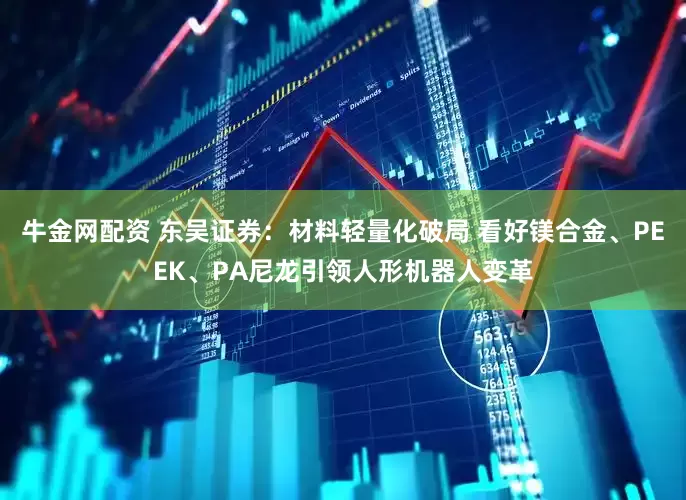 牛金网配资 东吴证券：材料轻量化破局 看好镁合金、PEEK、PA尼龙引领人形机器人变革