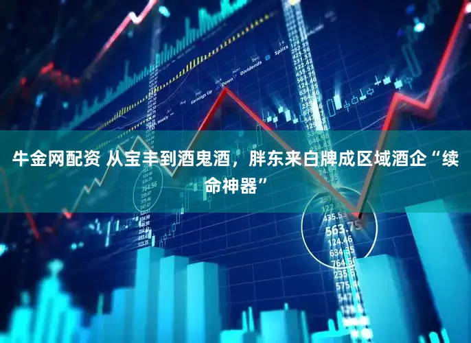 牛金网配资 从宝丰到酒鬼酒，胖东来白牌成区域酒企“续命神器”