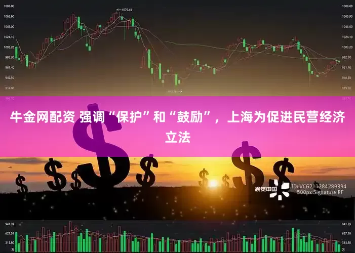 牛金网配资 强调“保护”和“鼓励”，上海为促进民营经济立法