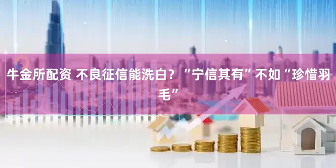 牛金所配资 不良征信能洗白？“宁信其有”不如“珍惜羽毛”