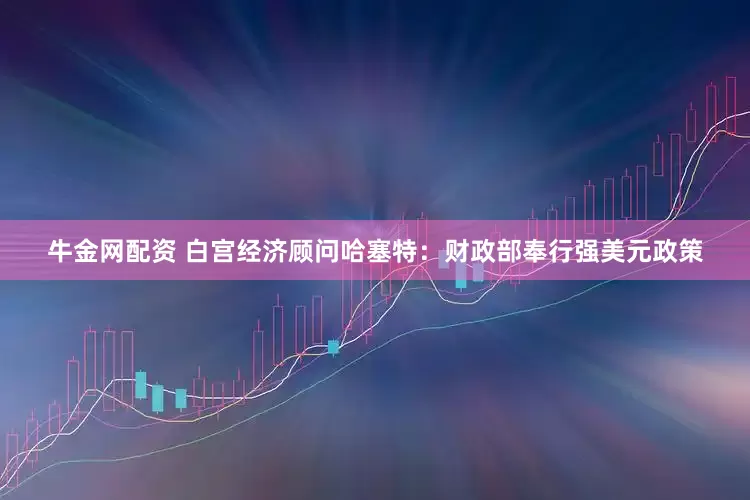 牛金网配资 白宫经济顾问哈塞特：财政部奉行强美元政策